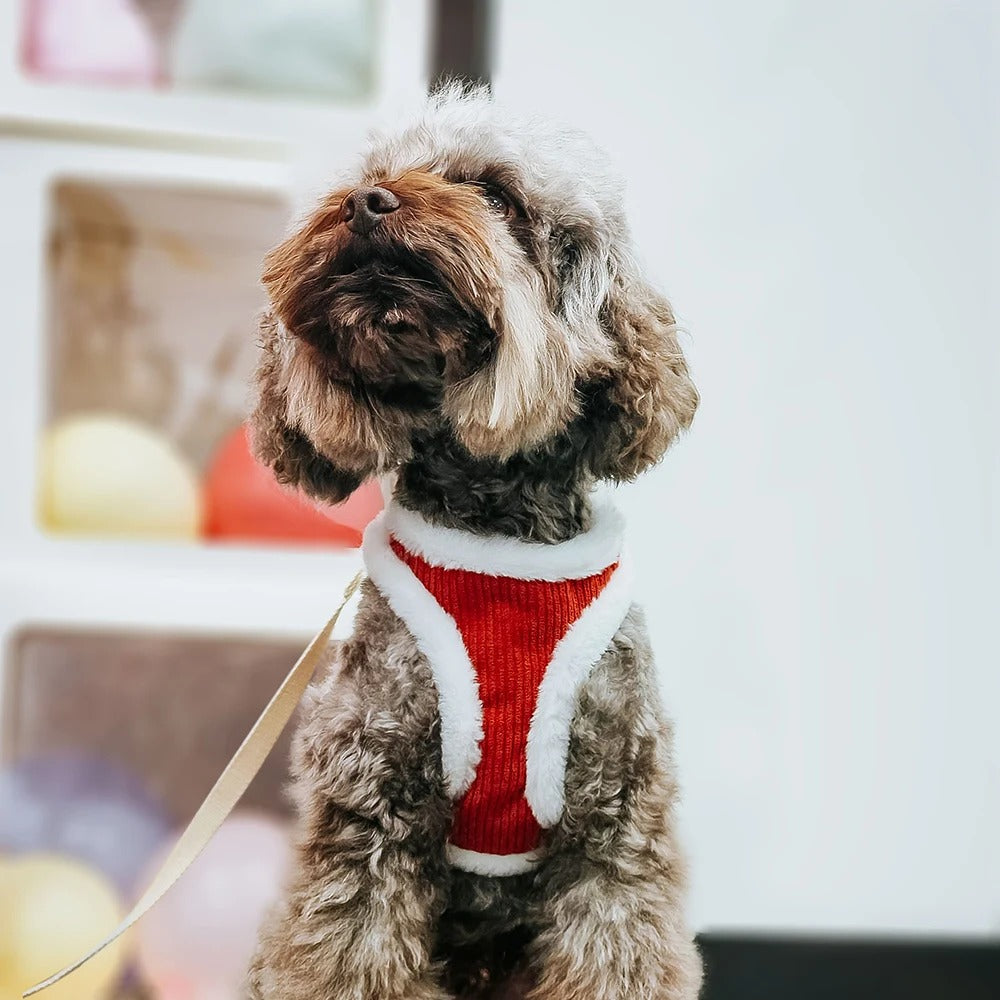 rood fluffy hondentuigje poedel